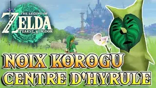 Toutes les NOIX KOROGU 🍃 &ndash; CENTRE et CH&Acirc;TEAU D&rsquo;HYRULE | The Legend of Zelda : Tears Of The Kingdom