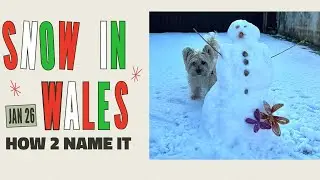 Snow In Wales January 2026