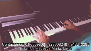 Digital Piano Dynatone DPR 1500 AD