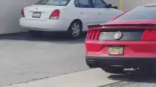 Ecoboost Mustang &ldquo;Perps and Berbs&rdquo; Burble Crackle POP tune