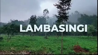 Lambasingi : Kashmir Of Andhra Pradesh Vlog video (2025)