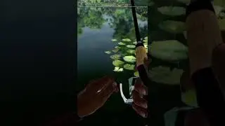 first fish with new set up and personal record fishing planet