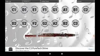 Virtual Bassoon