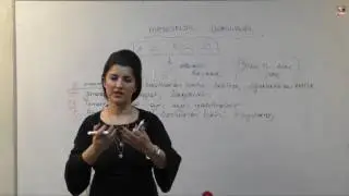 10) A Grubu - Borçlar Hukuku - Müteselsil Borçluluk - Ebru ÇORBACIOĞLU (2017)