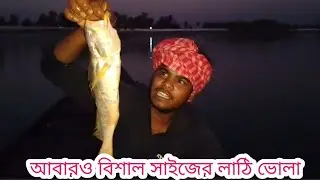 আবারও সুন্দরবন নদীতে জাল পেতে বিশাল সাইজের লাঠি ভোলা ধরলাম/Aporup sundarbon 