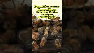 Bee Spotlight: Why Respecting Beekeepers Is Vital - Day 23