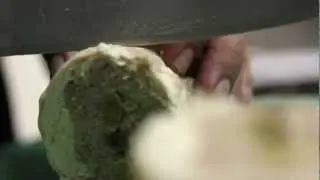 Cooking Classes Bologna Stefano Corvucci (Chicken Galantina)