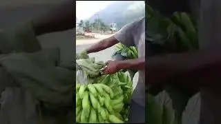 Work and eat. A very hard working Banana seller.#dignityoflabour #honest #labour #Godbless