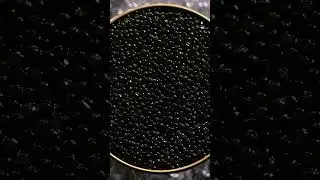 Range Rover SV Black: Несравним