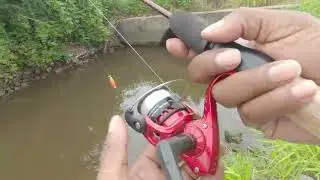 Fishing My Way Back to Good Health!!