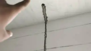 Right or Wrong🤔🤔 || Electric Conduit Pipe Wiring Before Plater or After Plaster