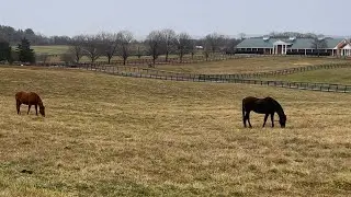 Long Branch Farm