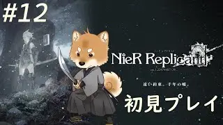 【ニーアレプリカント  / プレイ実況 】#12 最終回 そしてすべてを持っていくEエンディング！ 【Vtuber / NieR:Replicant】