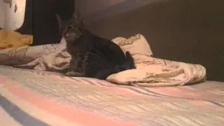 Намывается