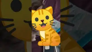 Cat and iPhone 2 with iPhone 15 Pro Max #shorts #cats #apple #iphone15 #iphone #iphone15promax