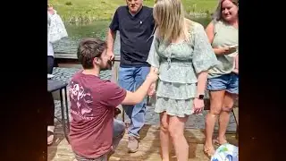 NPC Proposal