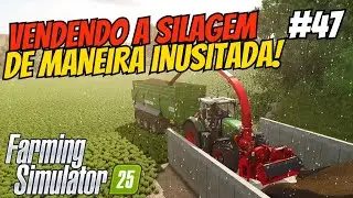 Vendi a SILAGEM durante a CHUVA de GRANIZO! DESCUBRA QUANTO rendeu! Locuragens Rurais #47