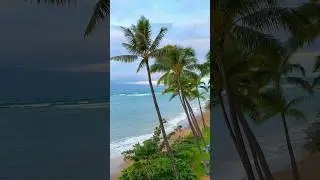 Good morning Maui! 🌅🏝️ #hawaii #maui #beach