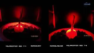 Wavegenetics experiments holographic method controlling biosystems