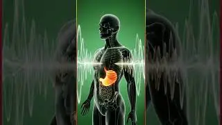 What Happens to Your Body When You Drink Milk | Surprising Health Facts