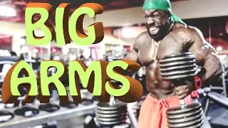 BIG ARMS | EXTREMLY HEAVY WORKOUT | Kali Muscle