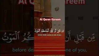 Telawat Quran best voice | Mr Shahid video maker #quran #shorts #surat #islam #youtubeshorts #reels