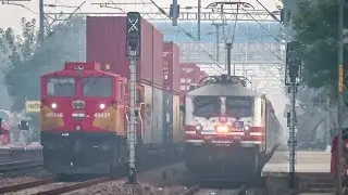 🤘बीकानेर दिल्ली डबल स्टैक से आगे निकल गई #indianrailways #railway #incredibleindia #trains