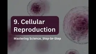 9. Cellular Reproduction