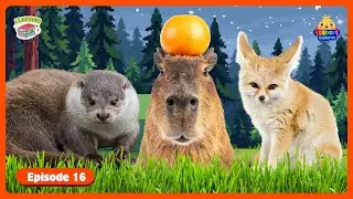 Guess Cute Jungle Animals 🌿 | Animal Quiz Game for Kids & Preschool Learning (PART 1)
