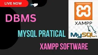 SQL Statement: DDL and DML - A Comprehensive Guide || MYSQL , Apache and Xampp || Zero to Hero
