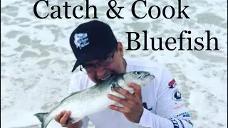 Catch and Cook Bluefish