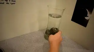 Student Creates Silver Eggs