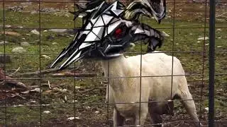 [Arknights] Bully Patriot FAST