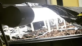 Our Inexpensive DIY Vegetable Seed Starting/Garden Grow Light Station ~ The Kneady Homesteader