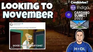What's Coming For Cardano in November?