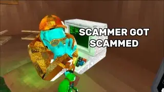 Scammed a scammer in animal company 