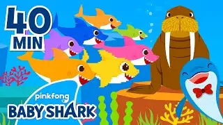 Celebrate World Ocean Day with Baby Shark! | +Compilation | Baby Shark Songs | Baby Shark Official