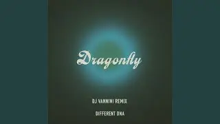 Dragonfly (DJ Vannini Remix Radio Edit)