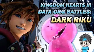 Kingdom Hearts 3 - Data Org Battle - Dark Riku (Critical Mode - LVL 99)