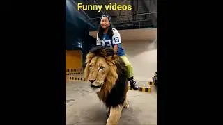 #funnyvideos#fypシ #reaction