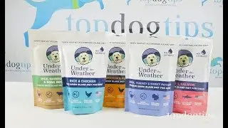 Under the Weather Bland Diets for Dogs Review