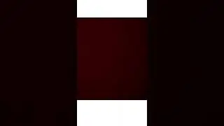 finnny joke i a dino