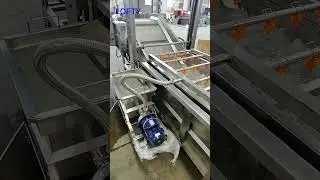 Air Bubble Vegetable Washer---Vegetable Washer