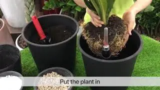 Vifah - Self Watering Planters Demonstration | AppliancesConnection.com