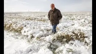 Midwest Blizzard = Massive Crop Losses