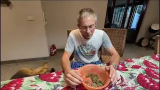 CANCER TREATMENT!! CBD & THC full spectrum cannabis oil.