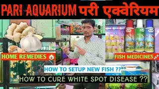 Pari Aquarium l How to cure fishes with home remedies and medicine l kurla fish market 🐬