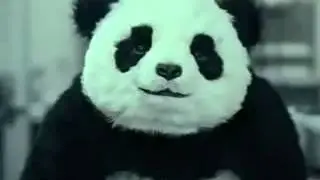 Panda Cheese Ad 1