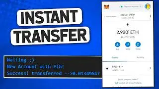 Auto Withdraw Bot for Trust Wallet, MetaMask & More! [2024]