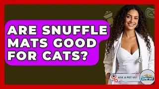 Are Snuffle Mats Good For Cats? - Ask A Pet Vet
